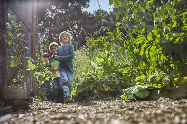Boys playing hide and seek on allotment — Stock Photo