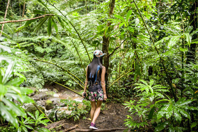 Rückansicht einer jungen Touristin, die durch Dschungel, Manoa-Wasserfälle, Oahu, Hawaii, USA schlendert — Stockfoto