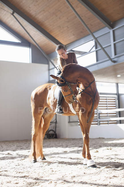 Mujer adulta a caballo castaño en el paddock interior - foto de stock