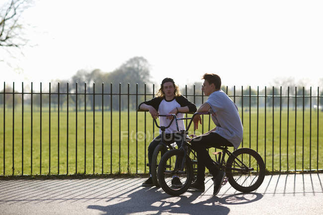 Два молодых человека на велосипедах bmx в скейтпарке — стоковое фото