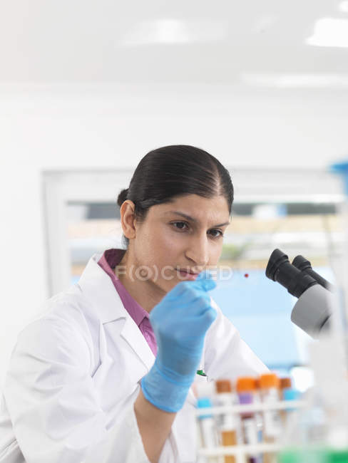 Молодая женщина-ученый просматривает слайд крови во время клинических испытаний медицинских образцов в лаборатории — стоковое фото
