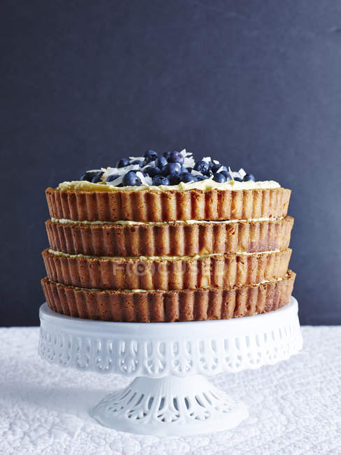 Quattro stack cheesecake con mirtilli e cocco tostato frammenti — Foto stock