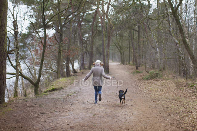 Rear view of woman running with her dog in forest — Stock Photo