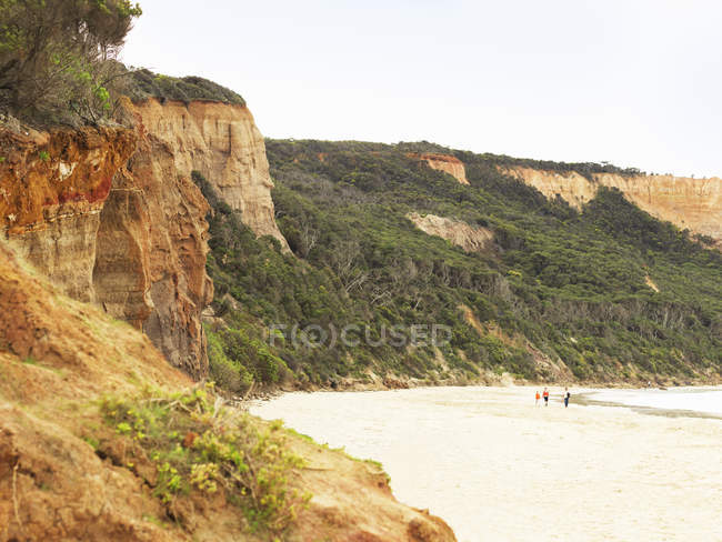 Vista sulla spiaggia, Parco Nazionale Point Addis, Anglesea, Australia — Foto stock