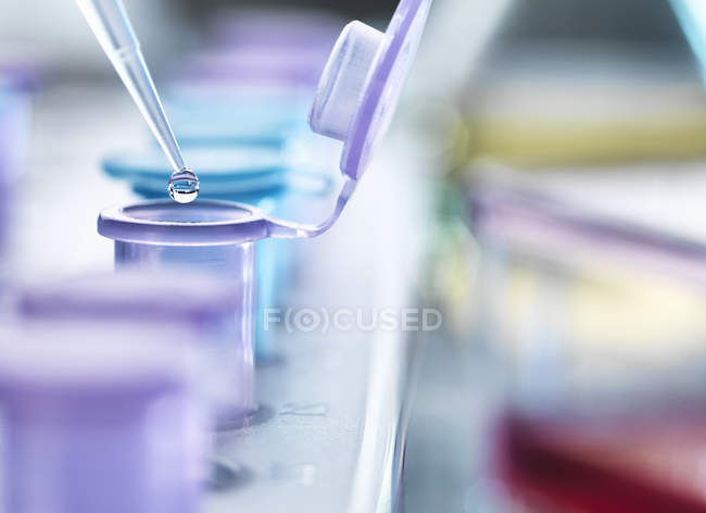 Pipetting droplets of liquid into eppendorf tubes, side view — Stock Photo