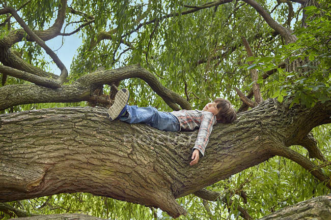 Boy lying on branch of forest tree — Stock Photo