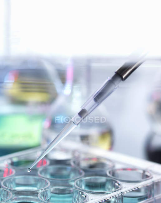 Pipetting drops of liquid into multiwell dish — Stock Photo