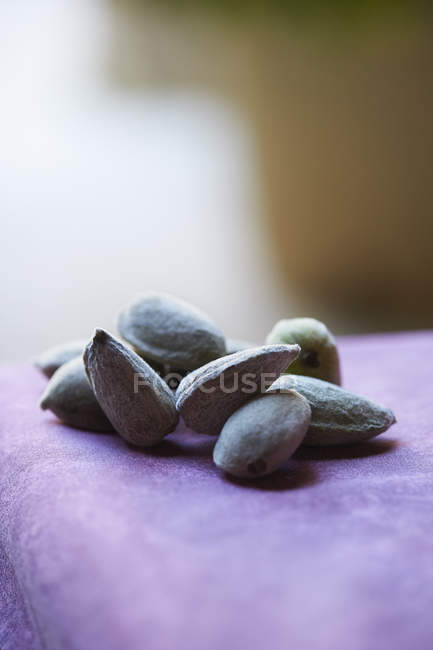Almonds in shells on purple tablecloth, close up shot — Stock Photo
