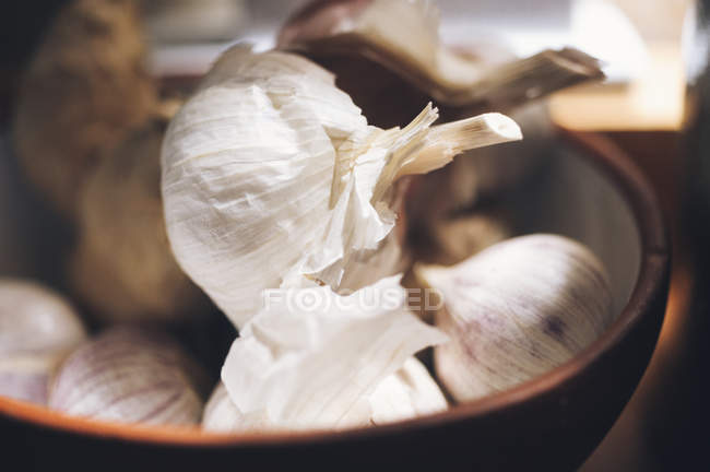 Close up shot garlic bulbs in bowl — Stock Photo