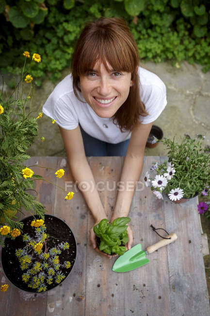 Vue grand angle de la femme adulte tenant une plante de basilic, souriant à la caméra — Photo de stock