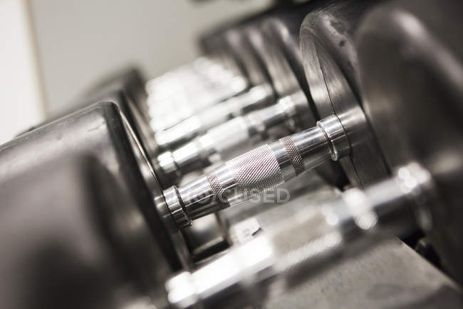 Dumbbells in a row, close-up — Stock Photo