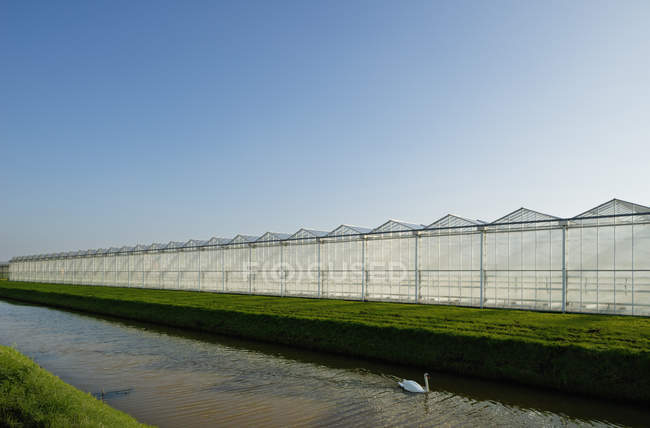 Angled view of canal and row of greenhouses — Stock Photo