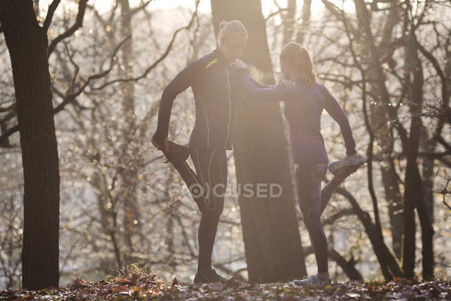 Couple en forêt appuyé les uns contre les autres jambe levée tenant le pied étirant — Photo de stock
