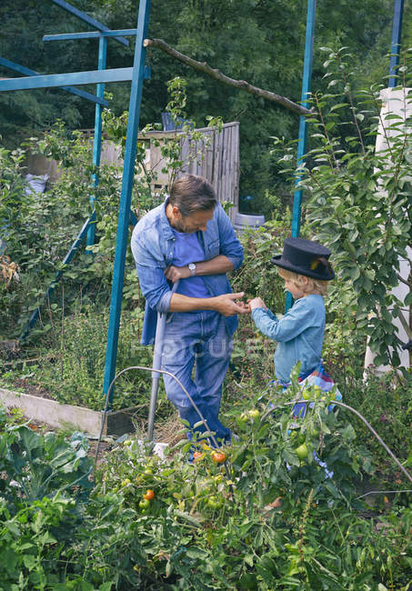 Vater und Sohn auf der grünen Kleingartenanlage — Stockfoto