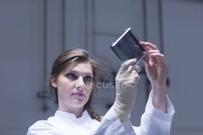 Giovane scienziata esaminando diapositiva microscopia in laboratorio — Foto stock