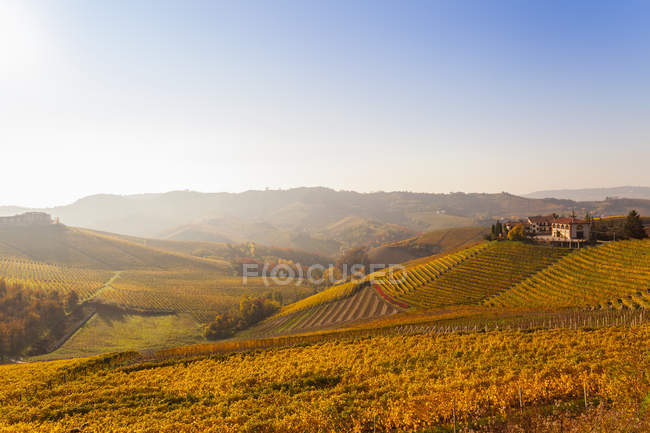 Vista del paisaje con viñedos de otoño y pueblo de la colina, Langhe, Piamonte, Italia - foto de stock