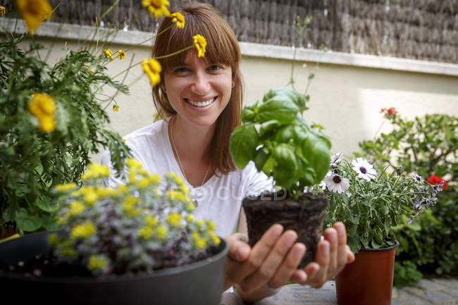 Femme adulte moyenne tenant une plante de basilic dans des mains coupées, souriant à la caméra — Photo de stock