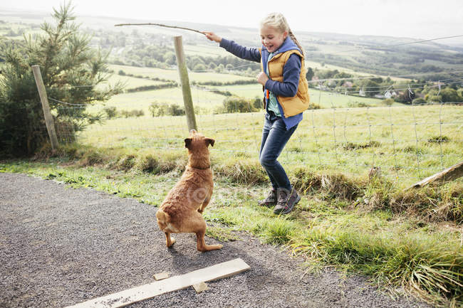 Девушка держит палку для собаки в сельской местности — стоковое фото