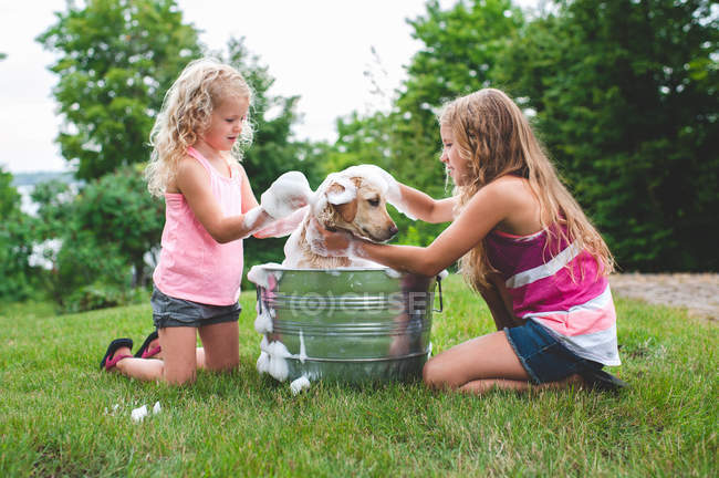 Due sorelle bagno animale domestico labrador retriever cucciolo — Foto stock