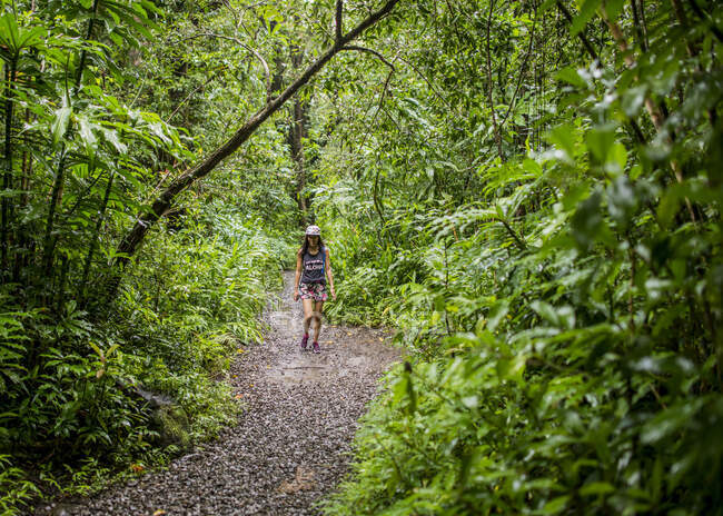 Une jeune touriste se promène dans la jungle, Manoa Falls, Oahu, Hawaï, États-Unis — Photo de stock