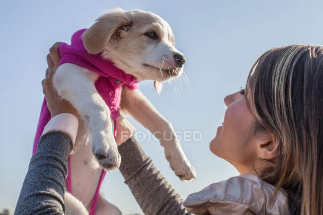 Over the shoulder low angle view of young woman holding up puppy smiling — Stock Photo