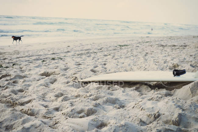 Surfboard on beach, Lacanau, France — Stock Photo
