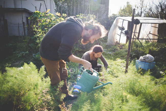 Side view of Young couple gardening — Stock Photo