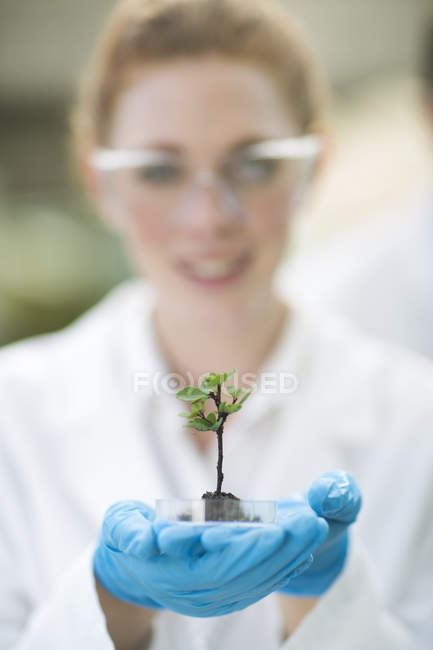 Portrait of female scientist holding up plant sample in poly tunnel — Stock Photo