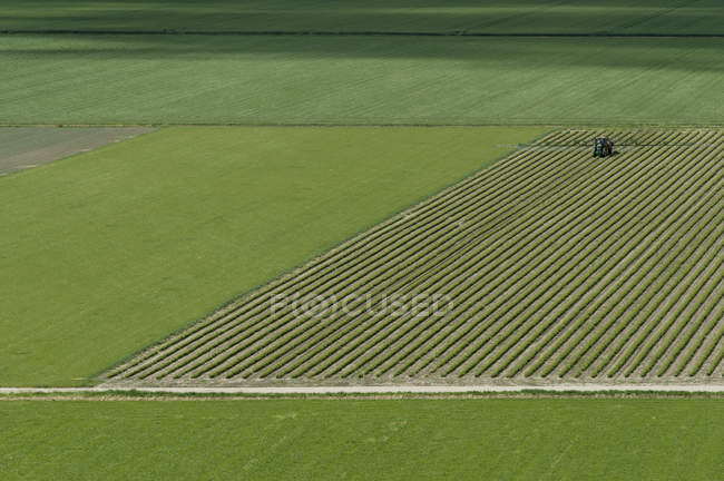 Vista aérea del tractor trabajando en campo verde - foto de stock
