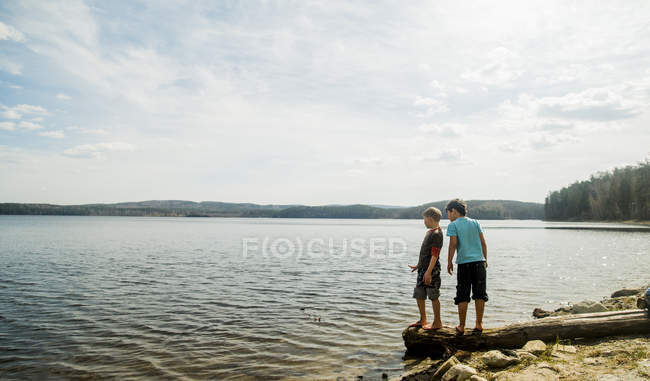 Dos chicos parados en un árbol caído mirando hacia el lago - foto de stock