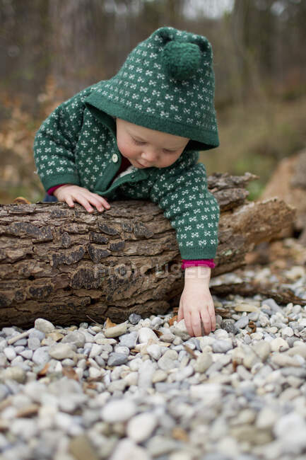 Дівчинка нахиляється над стовбуром дерева і торкається камінців. — стокове фото