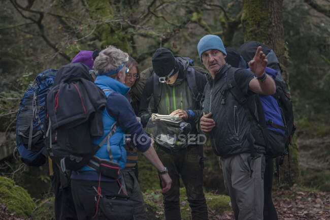 Група людей в лісі з картою — стокове фото