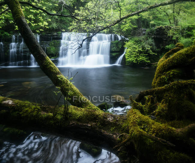 Cachoeira Sgwd y Pannwr, Cachoeira País, Beacons Brecon, Powys, País de Gales, Reino Unido — Fotografia de Stock