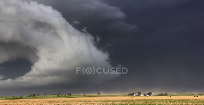 Dramatische Böenfront fegt über die Ernte dieser Farm hinweg und wirbelt Staub und heftige Winde auf, Lexington, Nebraska, USA — Stockfoto