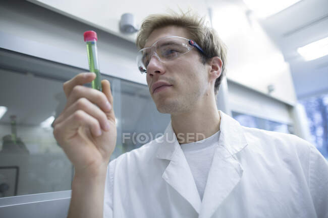 Hombre científico buscando tubo de ensayo en laboratorio - foto de stock