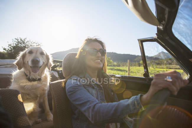 Mature woman and dog, in convertible car — Stock Photo