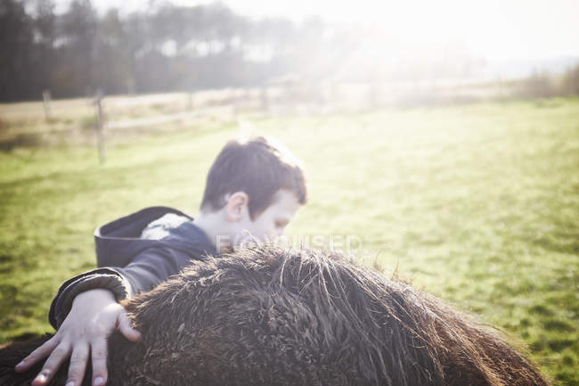 Мальчик гладит лошадь на солнечном зеленом лугу, избирательный фокус — стоковое фото