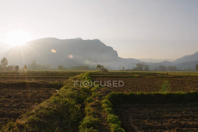 Nordthailand, Reisfelderhof und -feld, Chiang Dao, Thailand — Stockfoto