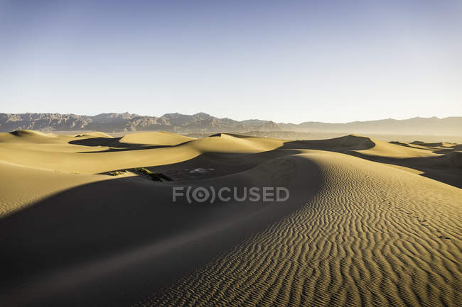 Dunes de sable ondulé de la vallée de la mort sous le ciel bleu — Photo de stock