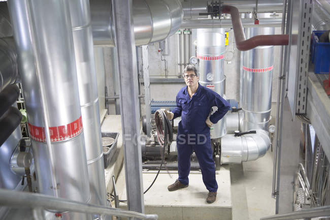 Retrato del ingeniero masculino en la central eléctrica - foto de stock