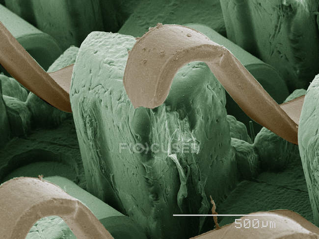 Micrographie électronique à balayage coloré de la puce d'ordinateur — Photo de stock