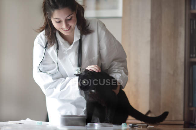 Ветеринар осматривает чёрную кошку — стоковое фото