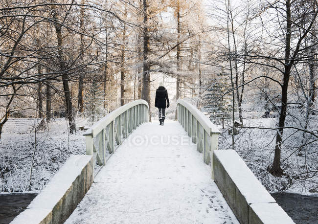 Жінка перетинає сніг покритий міст, вид ззаду — стокове фото