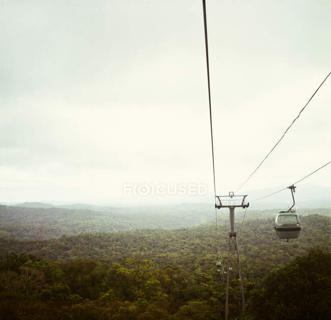 Teleférico skyrail selva tropical - foto de stock