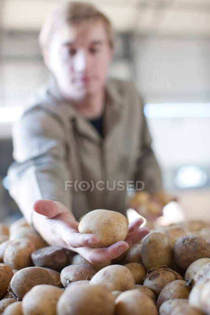 Jeune homme tenant une pomme de terre — Photo de stock