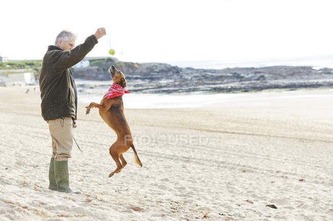 Uomo e cane sulla spiaggia, Constantine Bay, Cornovaglia, Regno Unito — Foto stock