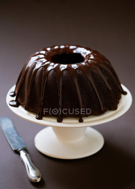 Home baked chocolate cake on cakestand — Stock Photo