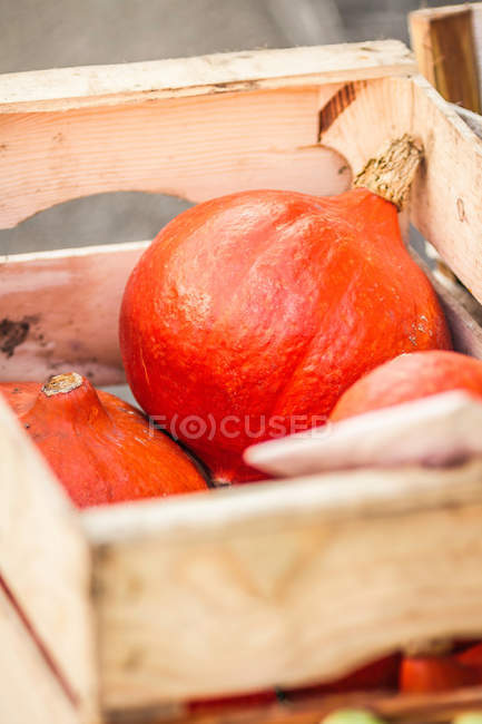 Close up shot of pumpkins in wooden crate — Stock Photo