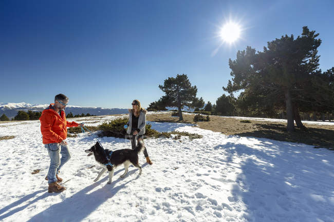 Paar mit Hund in verschneiter Landschaft — Stockfoto