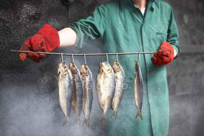 Человек в коптильне держит рыбу на палочке — стоковое фото